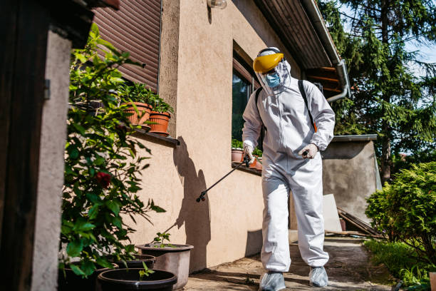 Best Residential Pest Control  in Hawaiian Beaches, HI
