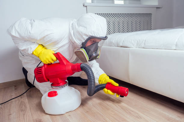 Best Pest Inspection Near Me  in Hawaiian Beaches, HI