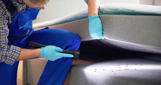 Best Pest Inspection Near Me  in Hawaiian Beaches, HI