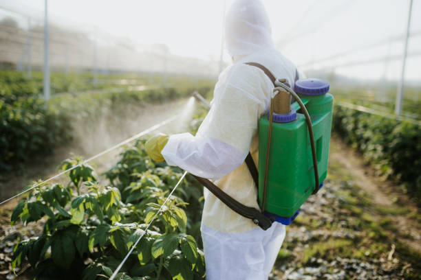 Best Best Pest Control Near Me  in Hawaiian Beaches, HI